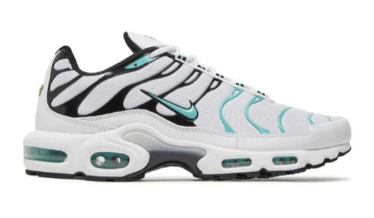 TNS Dusty Cactus
