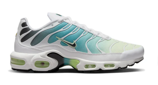 TNS Dusty Cactus